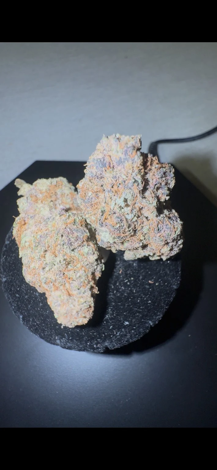 Cali USA